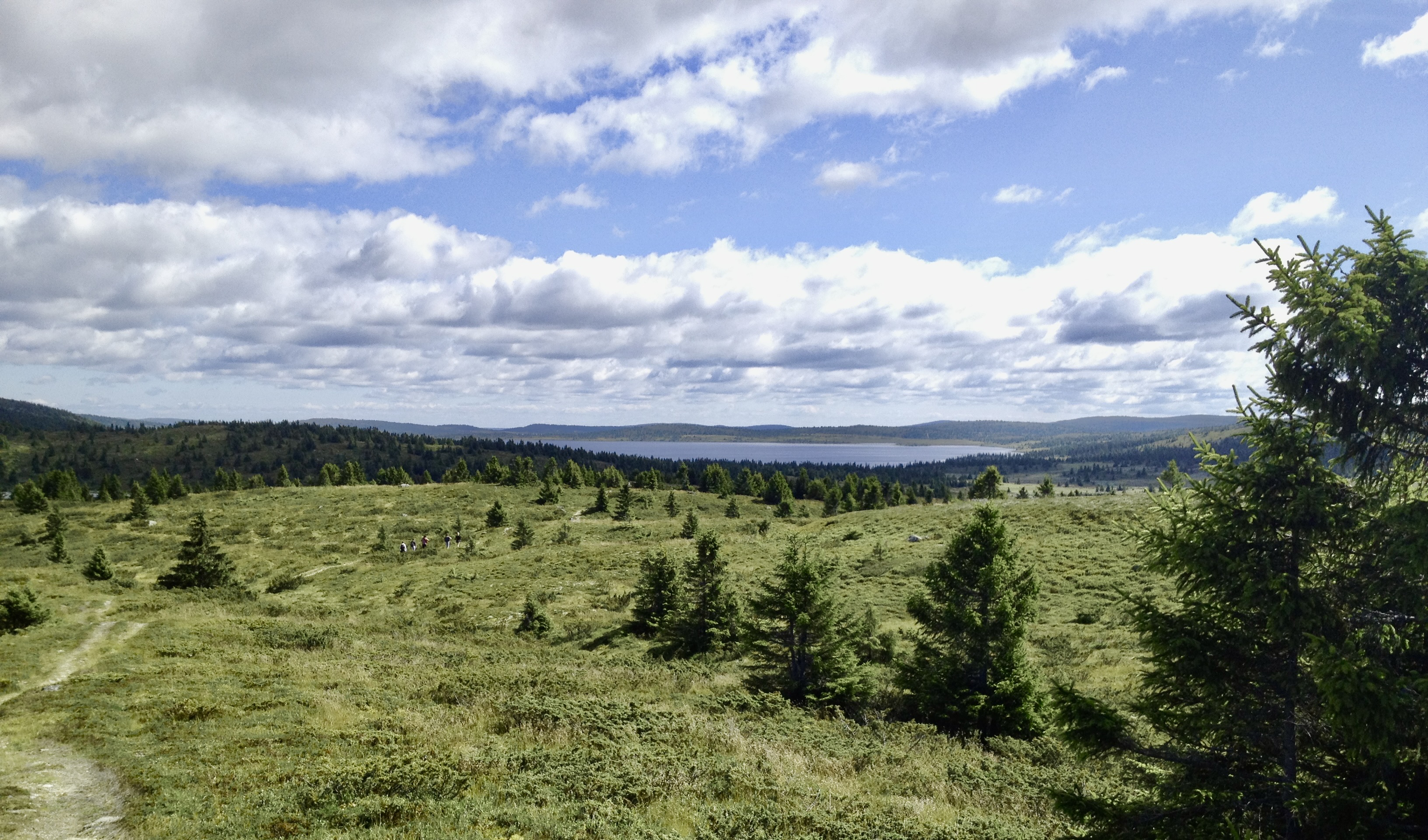 Mountain Vantage Point